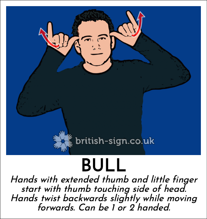 Bull: Hands with extended thumb and little finger start with thumb touching side of head.  Hands twist backwards slightly while moving forwards. Can be 1 or 2 handed.